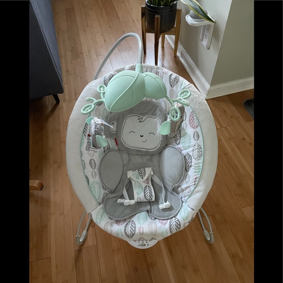fischer price Other - Fischer Price Snugamonkey Deluxe Bouncer